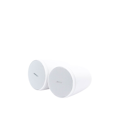 Par Altavoz de montaje colgante | 2.25in | FreeSpace |