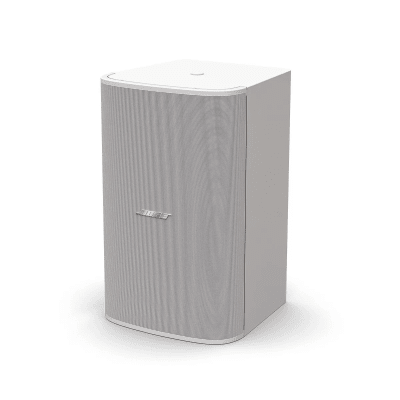 Subwoofer de Montaje en Pared | Designmax | 10in | 8ohms |