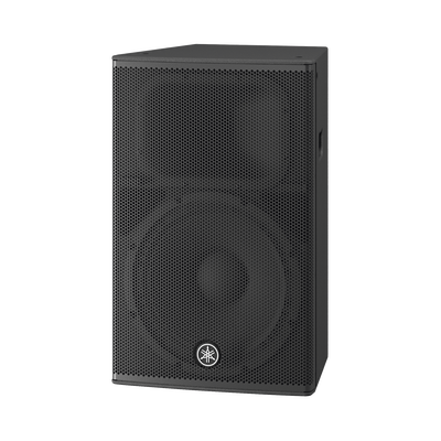 Altavoz Amplificado 15 pulgadas | Potencia: 1000w |