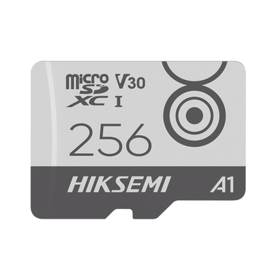 [HS-TF-M1/256G] Memoria MicroSD / Clase 10 de 256 GB / Especializada Para